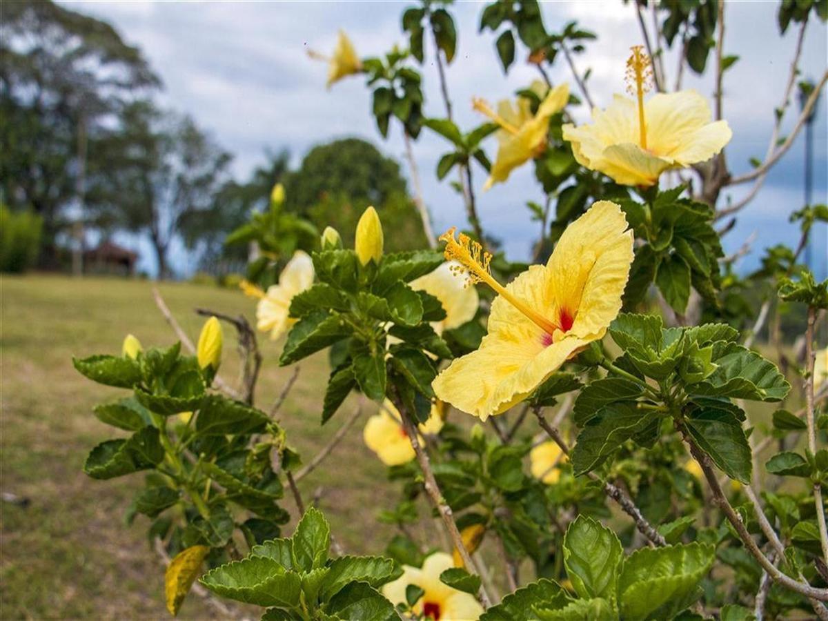 Hotel Arrayanes Del Quindio มอนเตเนโกร ภายนอก รูปภาพ